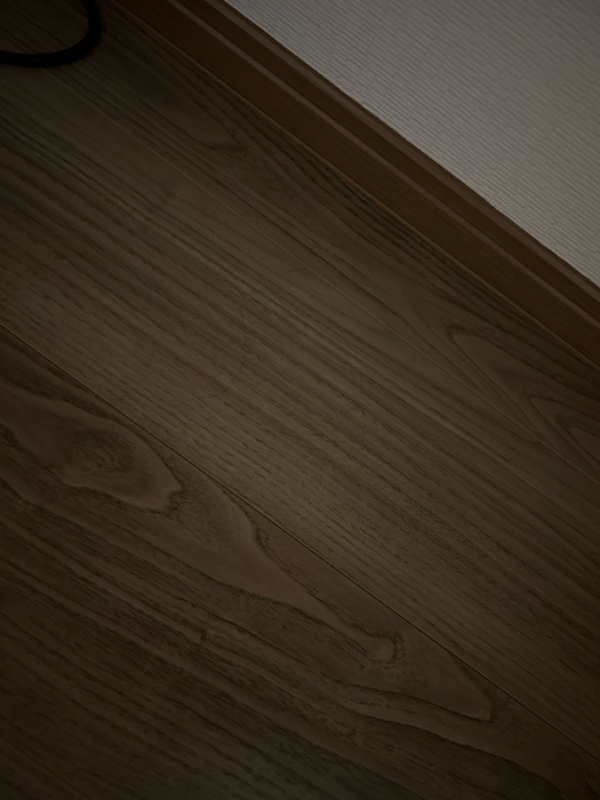 越谷市 床工事 施工前の状態